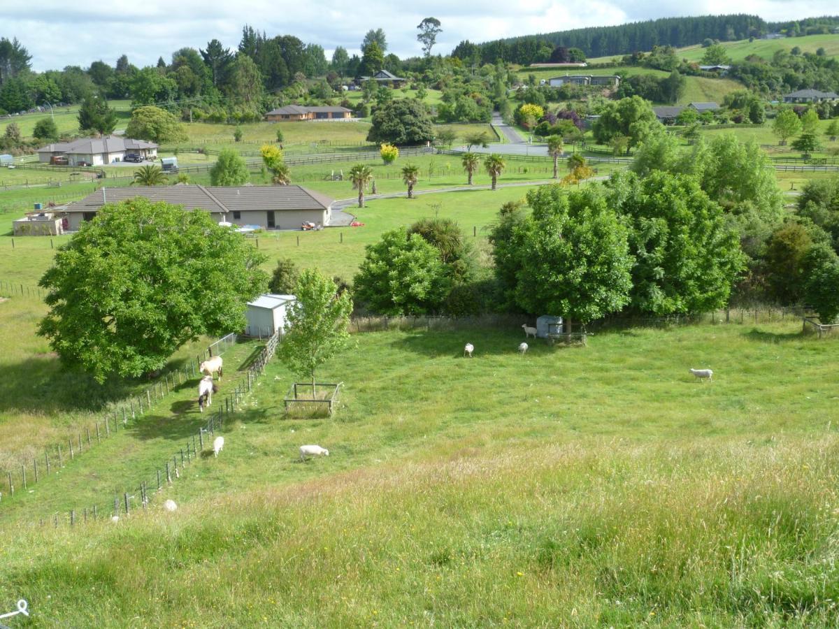 Bellarosa B&B Rotorua Dış mekan fotoğraf